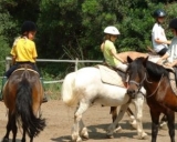  Pony Club en el VAR -9999- Hike ecuestre en El Var -9999- Hike ecuestre en Esterel