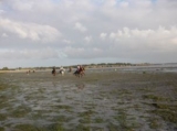 Reiten am Strand der Loire Atlantique 