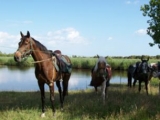  Reiten im Nationalpark Salzwiesen von Brière 
