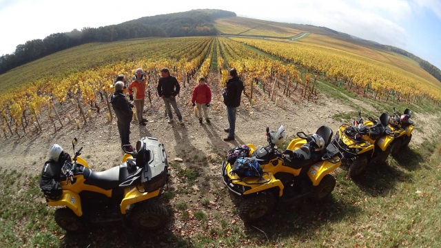  在四驱车上发现勃艮第