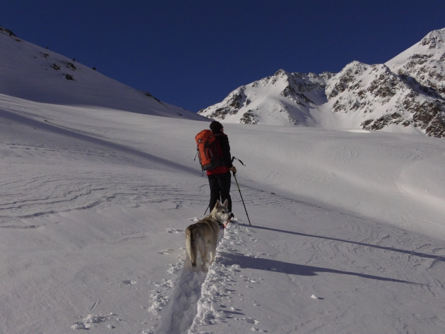Tramontagne, Accompagnateur en montagne