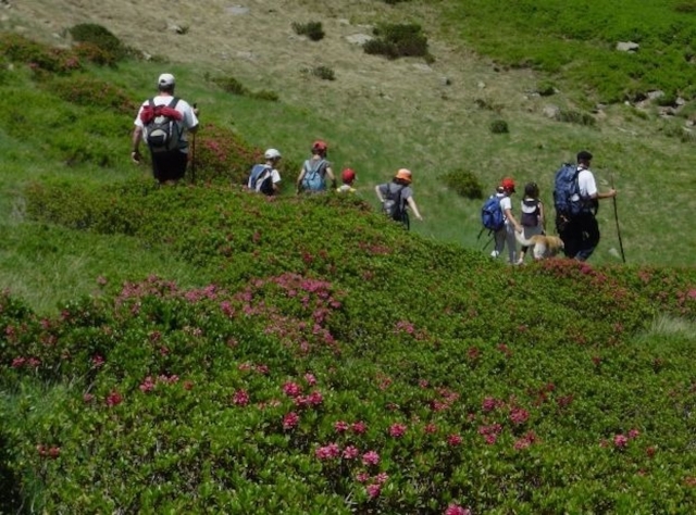  Group hike. 