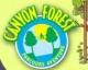 Canyon Forest 