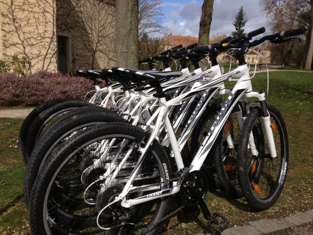  Giro in mountain bike nella foresta di Fontainebleau 