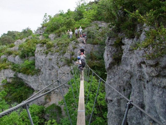  Monkey bridge in Hérault