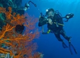  scuba diving in lavandou 