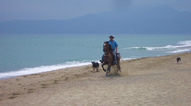 Am Meer zu Pferd