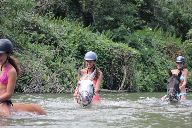  Auf einem Pferd ins Wasser gehen 