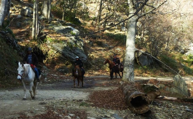  In die Wälder der Pyrénées-Orientales 