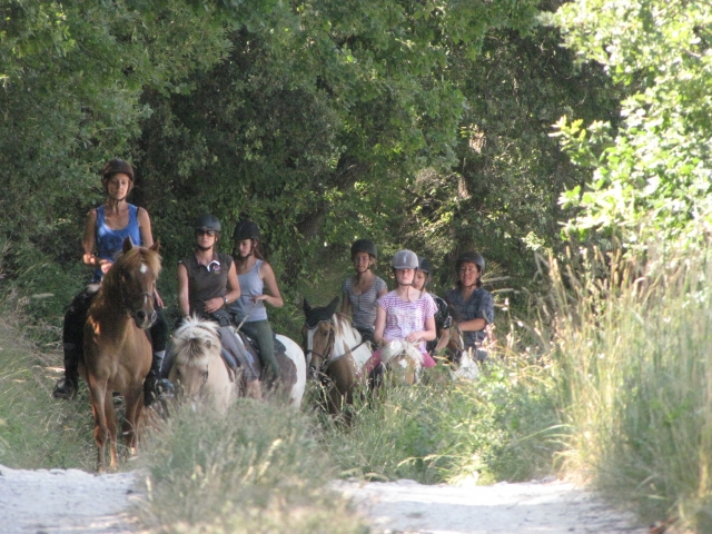  Equitazione nel Vaucluse 