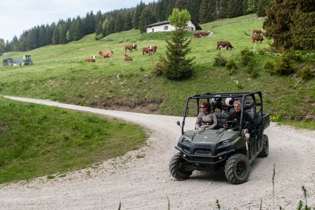 Buggys 4 -Seater 