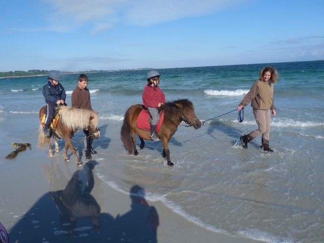  Playa de las Shetlands 