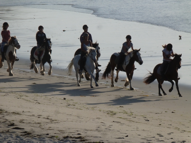  galopar en la playa 