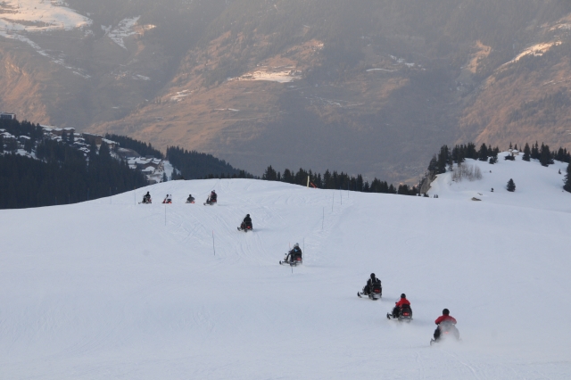 Mottonige Hondnee Courchevel 