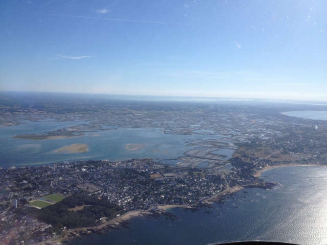  Salt marshes 