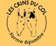 Les Crins du Col