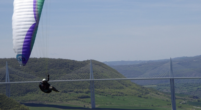 Im Vollflug 