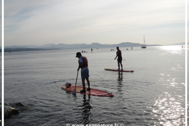  Stand Up Paddle 