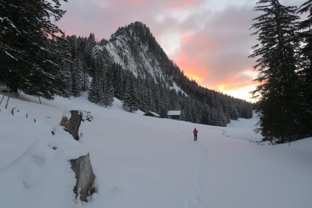  Tramonto sulle Alpi 