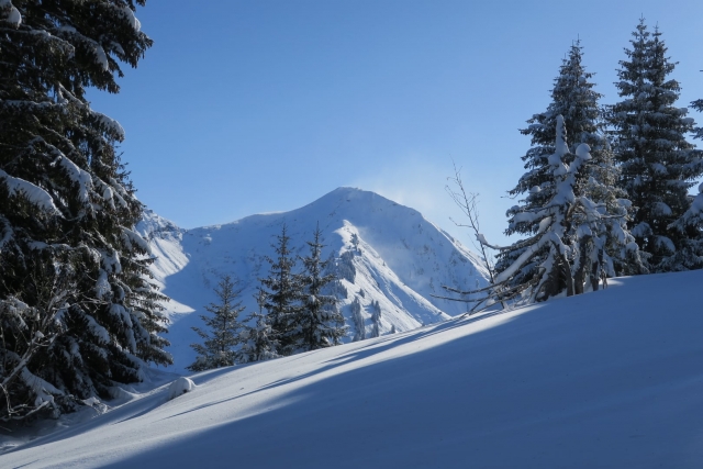Landschaftsentdeckung