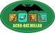 Acrobat Millau