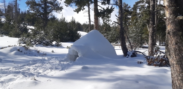  Costruzione di igloo 