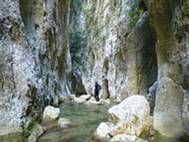  Cave 