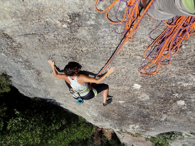 Concentration optimale 