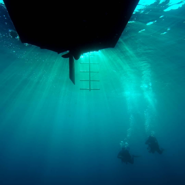  Buceo 