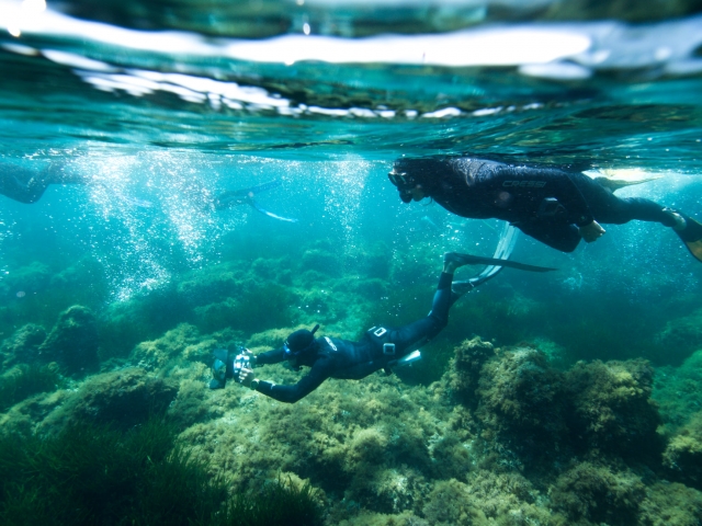  Apnea 