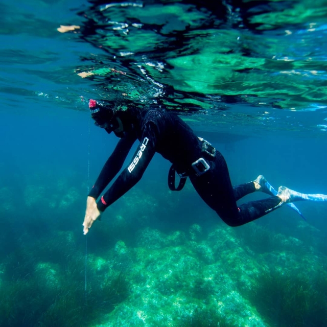  Snorkel 