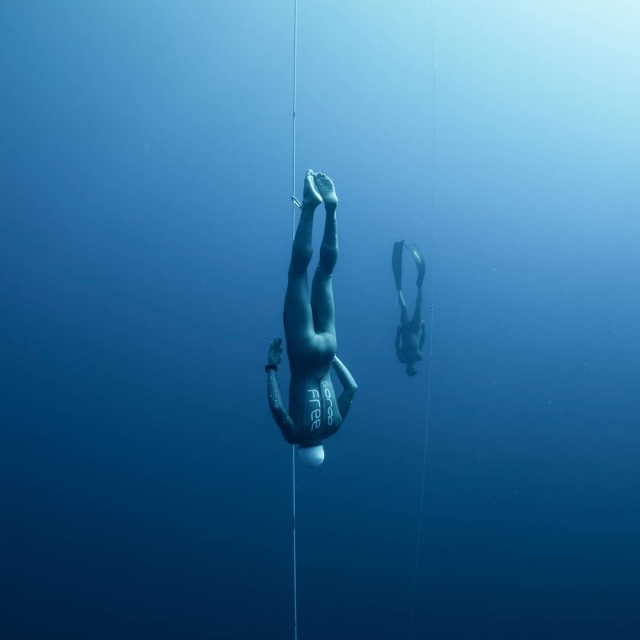  Buceo 