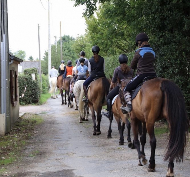 Preparação do passeio a cavalos 