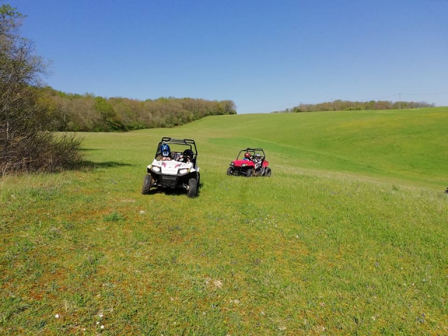 Buggy-Fahrt 