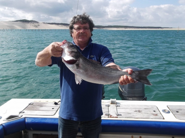  Pesca 