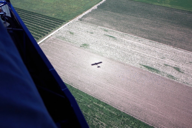  View of the Catalan fields 