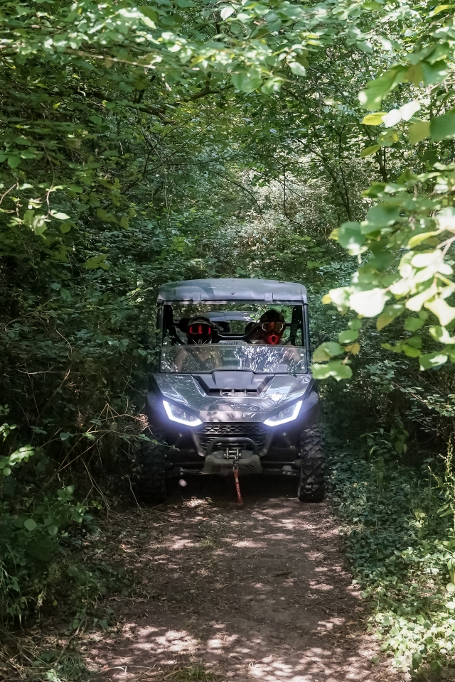  Buggy-Fahrt in der Umgebung von La Ferté-Gaucher 