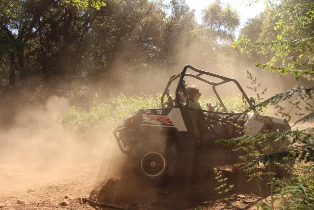 Biplace Buggy