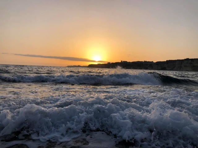  Vista única