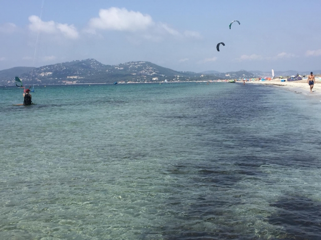 e-19759474-kite316424978547745.jpg