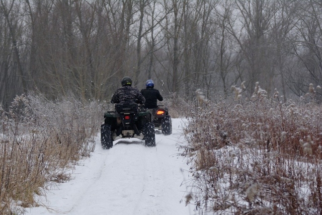  Excursión invernal en la nieve 