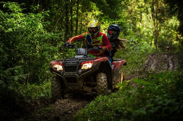  Paseo en quad por el bosque 