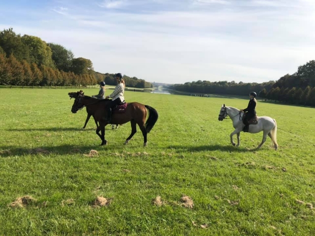 Balade tranquille à cheval