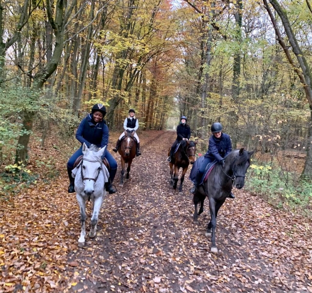 Randonnée à cheval en automne