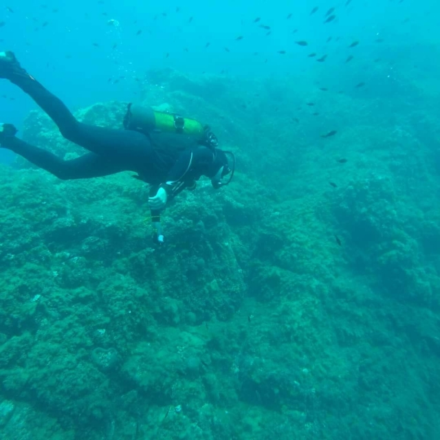  Snorkeling in the Var 