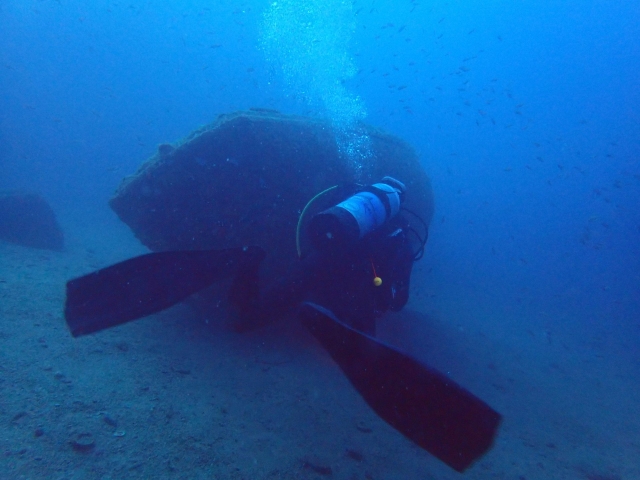  The underwater world of Fréjus 