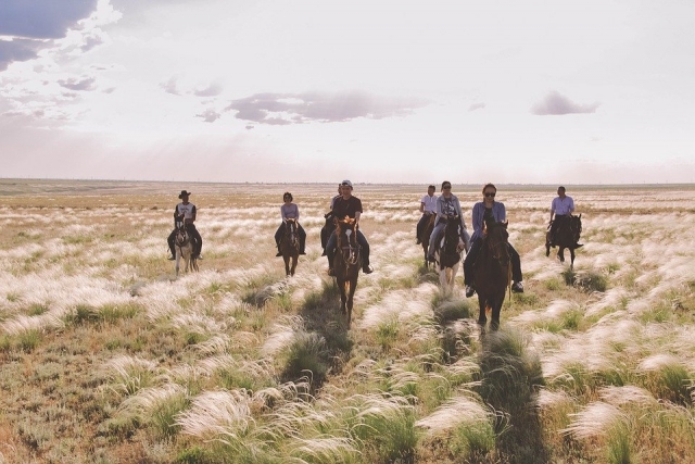 Reiten auf den Feldern