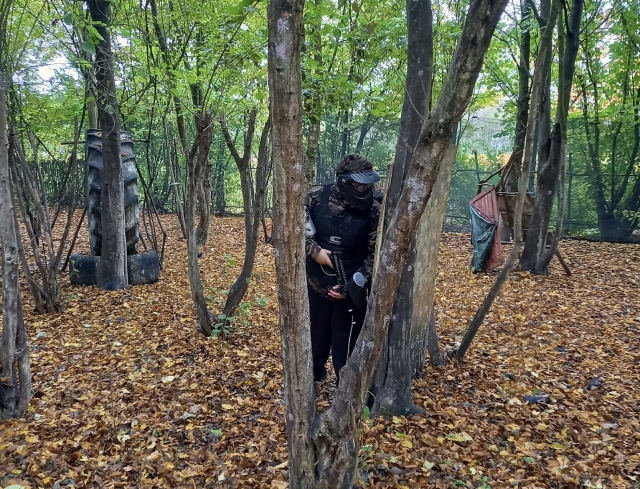  Versteckt im Wald