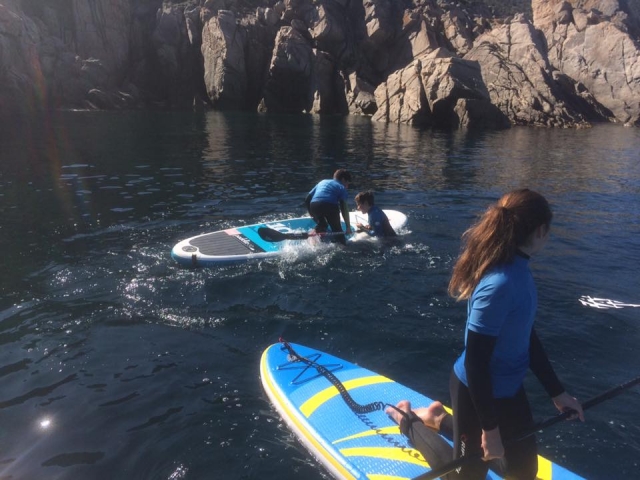 参观库帕比亚湾