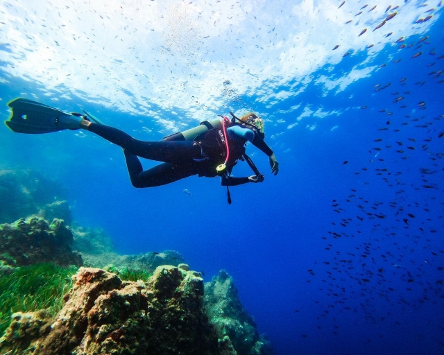  Snorkeling session 